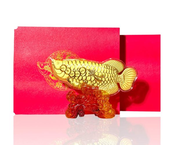 Photoroom_029_20250903_141151